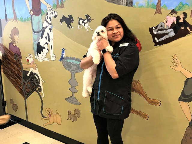 Pet Spa in Marlboro NJ 